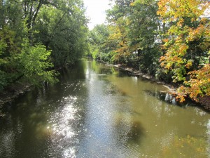 IMG_2214