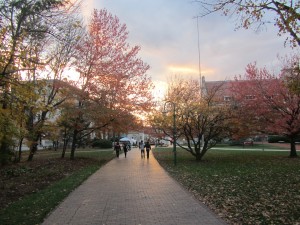 IMG_9856