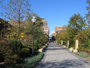 Scholar's Walk