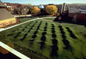 Maya Lin's Wave Field Maya Lin's Wave Field