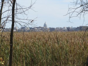 IMG_3589